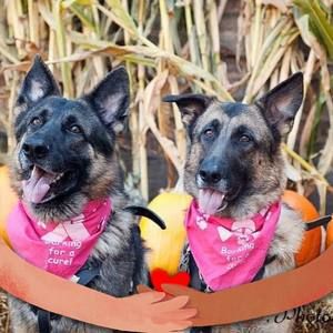 Meet your Posher, Phyllis